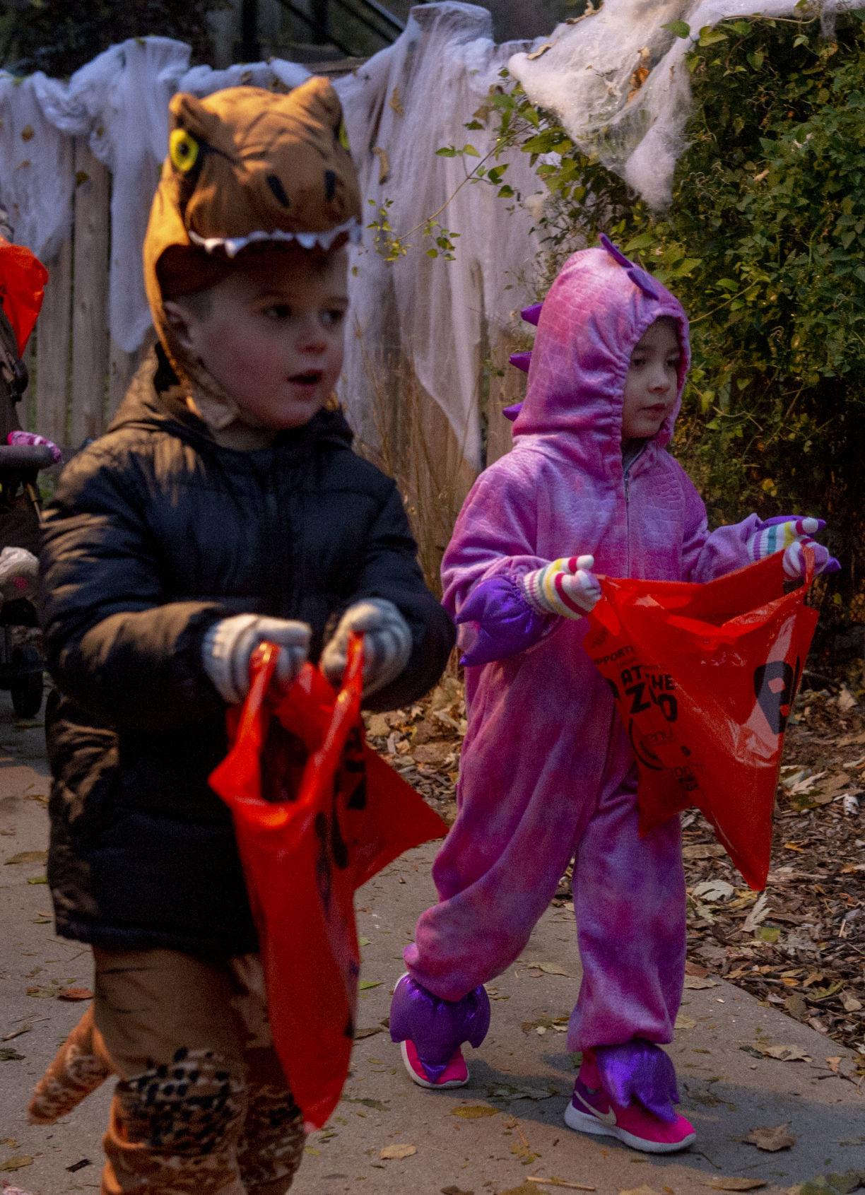 Boo at the Zoo, 10.29